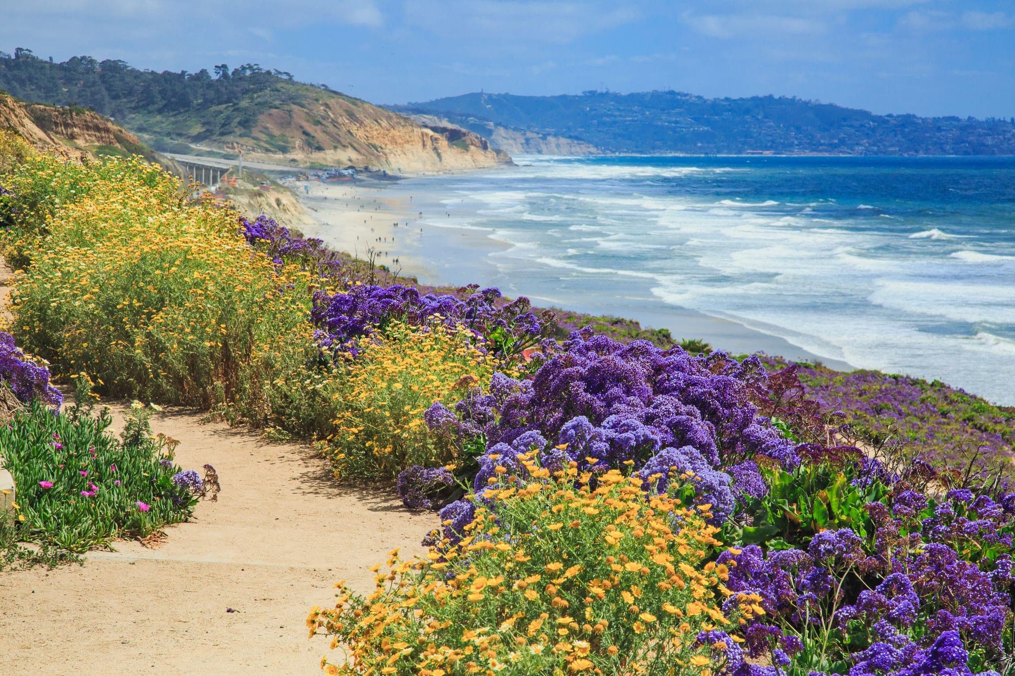 Del Mar — Camino Del Mar · through the village